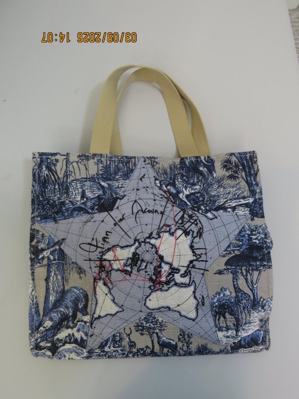 Dior Around the World VIP Tote bag - Picture 2 of 4